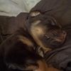 michellebern663